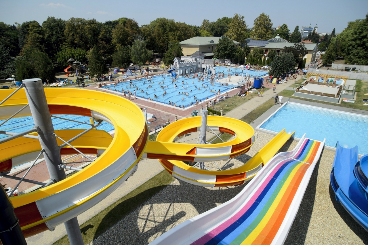 Jól csúsztak az úszók