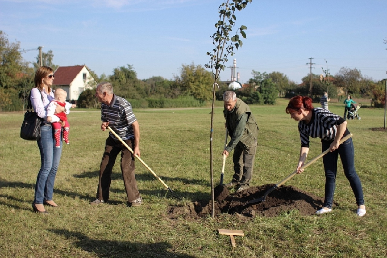 Lassan lejár a jelentkezés - Ültess újéletfát!