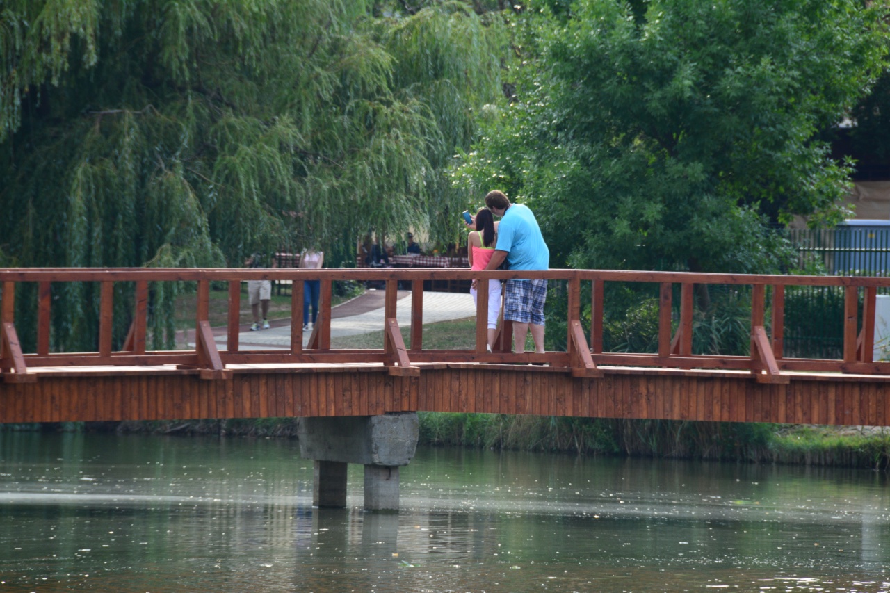 A híd már nincsen túl messze