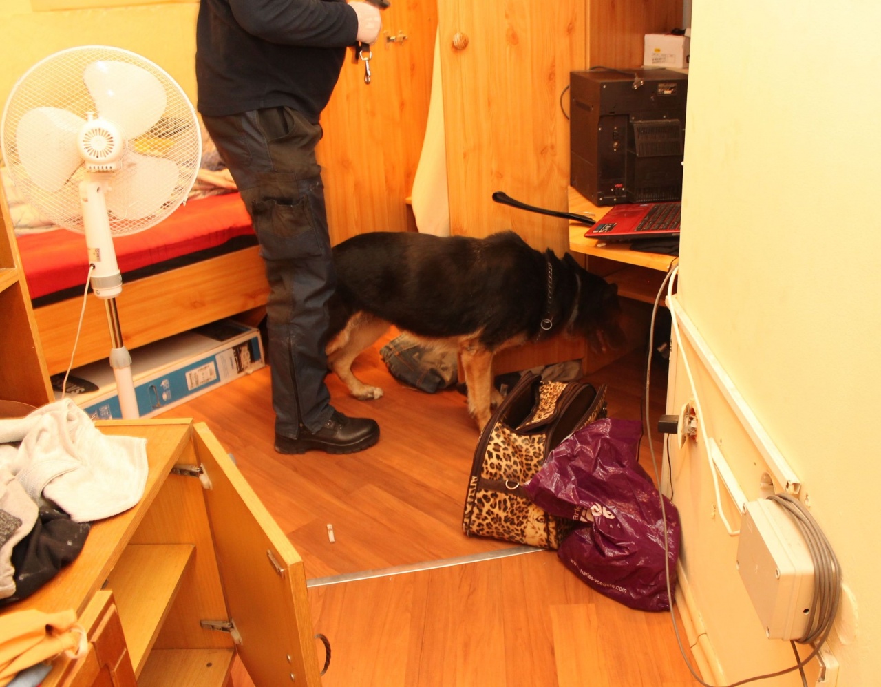 Kábítószer-kereskedőkre csaptak le Nyíregyházán (+ videó)