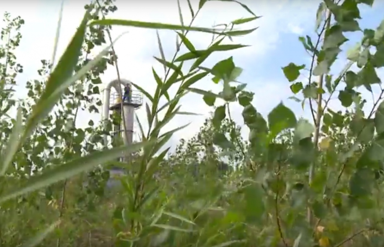 Zárul a borbányai projekt