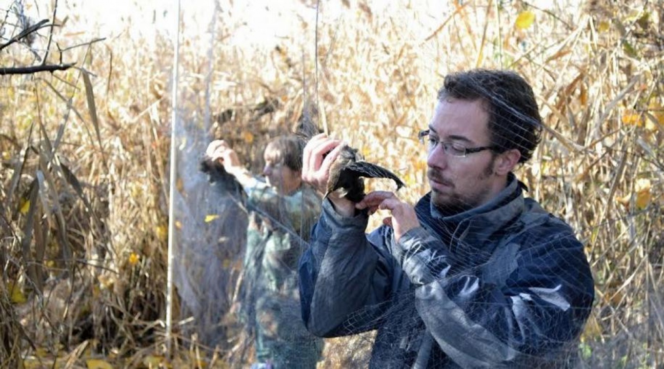 Nyíregyházán is megfigyelik a madarakat