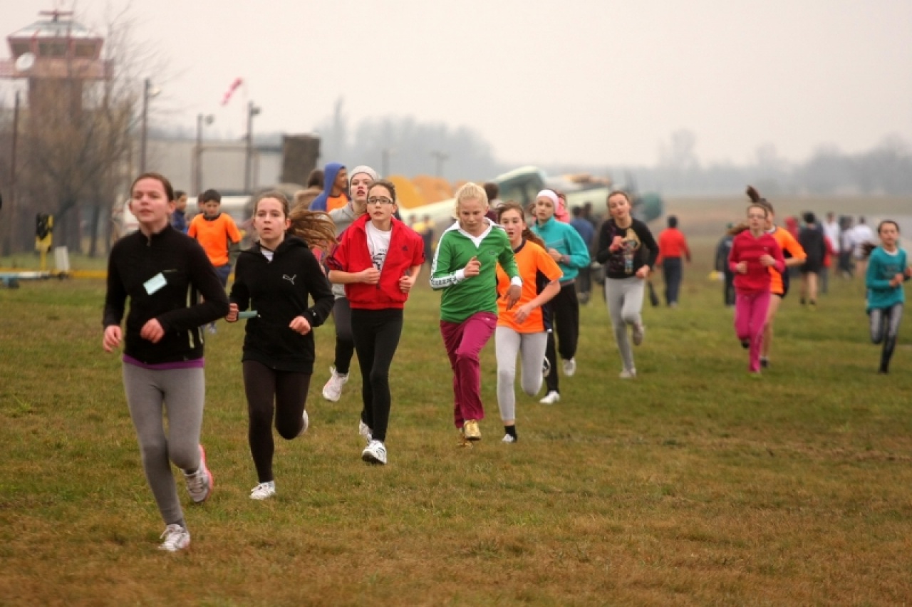 Diákolimpiai döntő