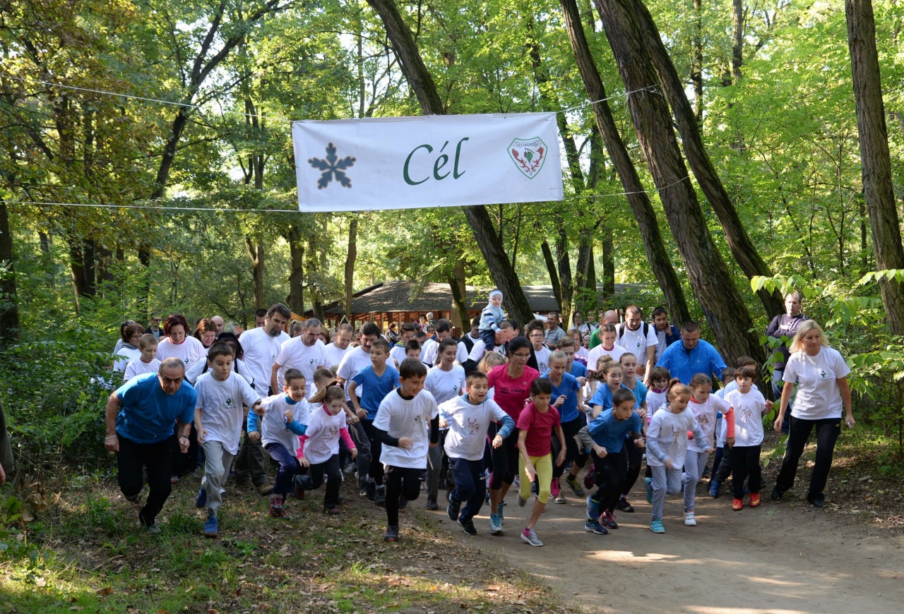 Nyírerdő Nap Nyíregyházán