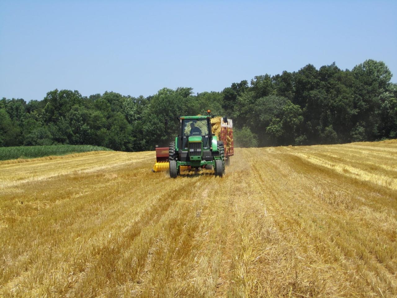 Földet a gazdáknak!