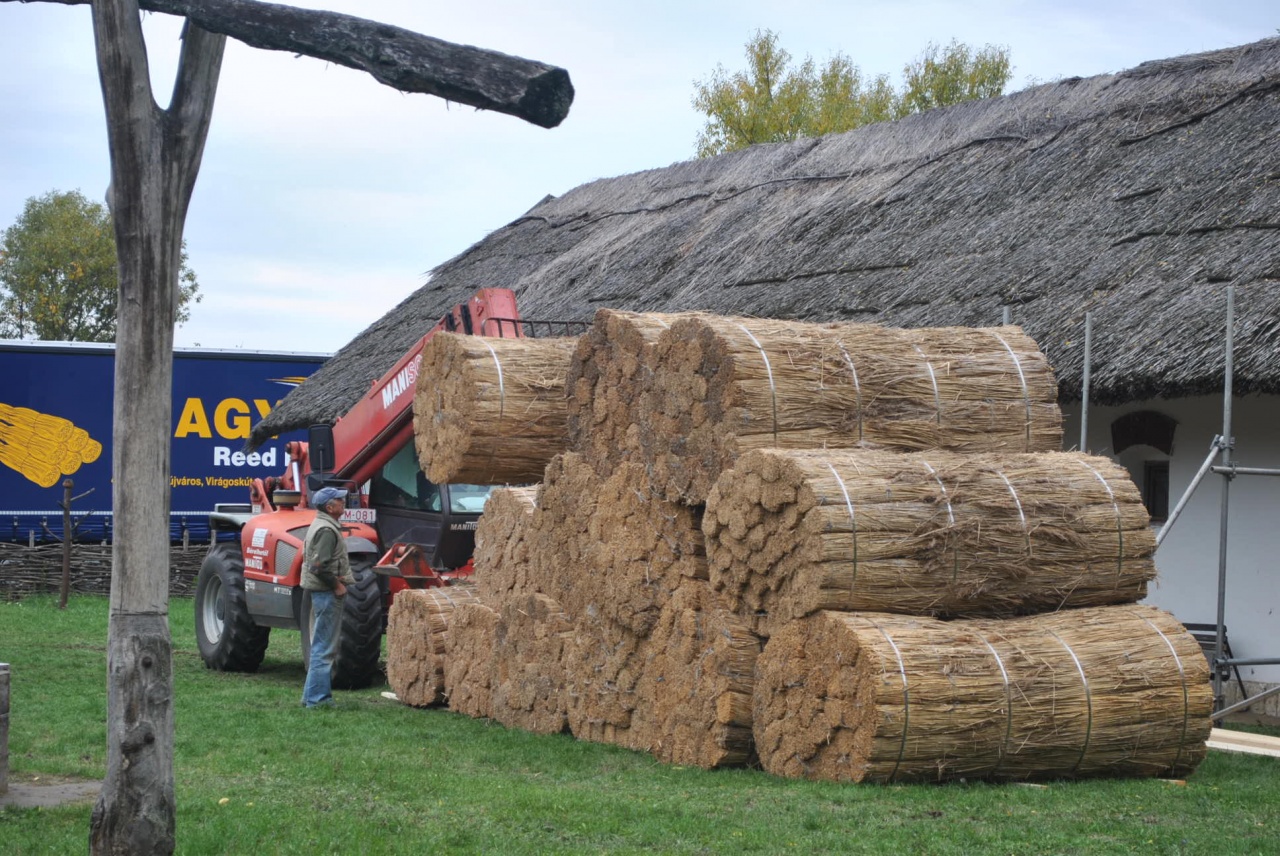 Nád a házam teteje…