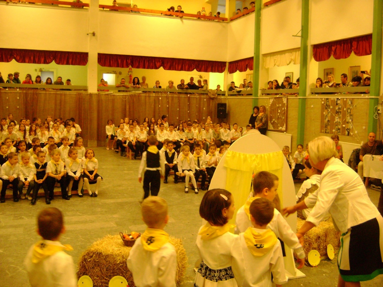 Csibeavató az Aranyban