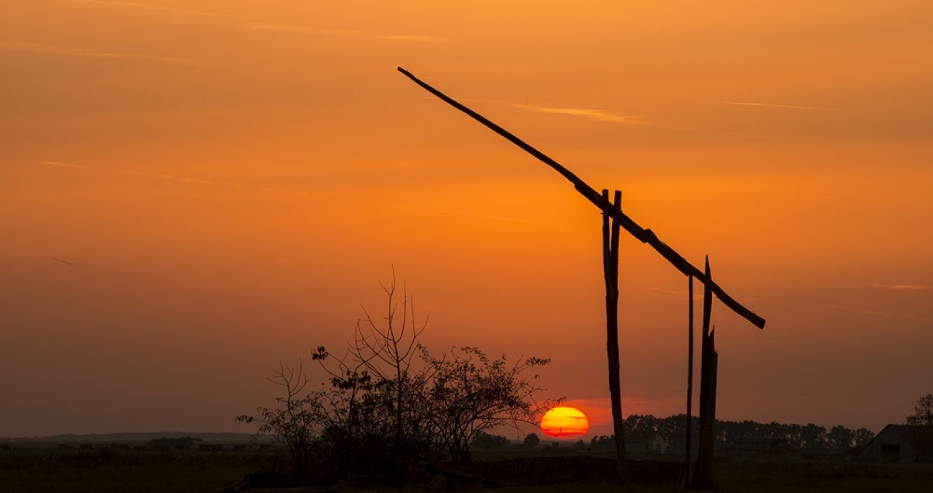 NYTV30 – Hortobágy színei