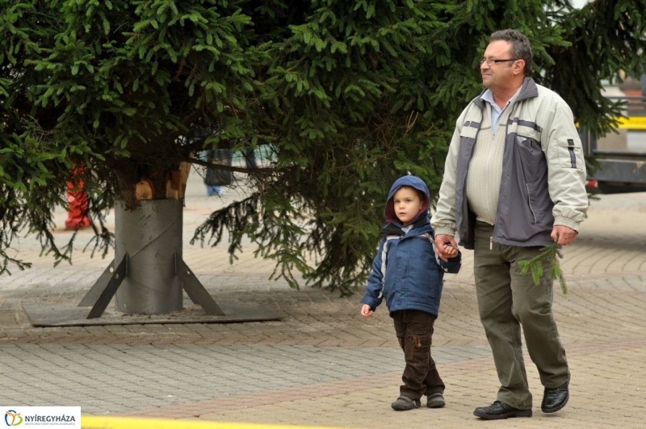 Felállították a karácsonyfát