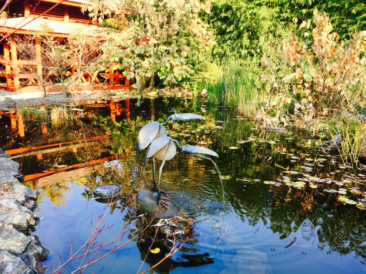 Őszi hangulat a botanikus kertben