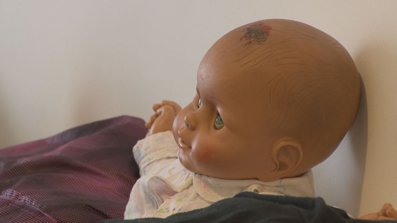 Egy nap a bántalmazás elől elmenekültekért