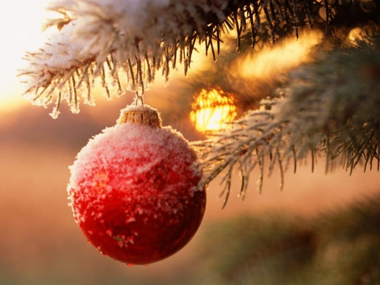 Karácsonyi programkínálat a Sziesztában