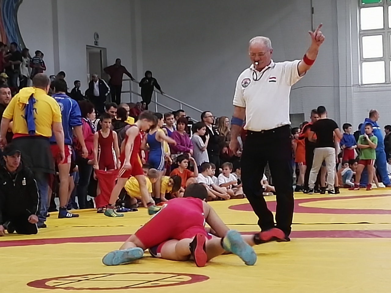 Két arannyal zártak a birkózók