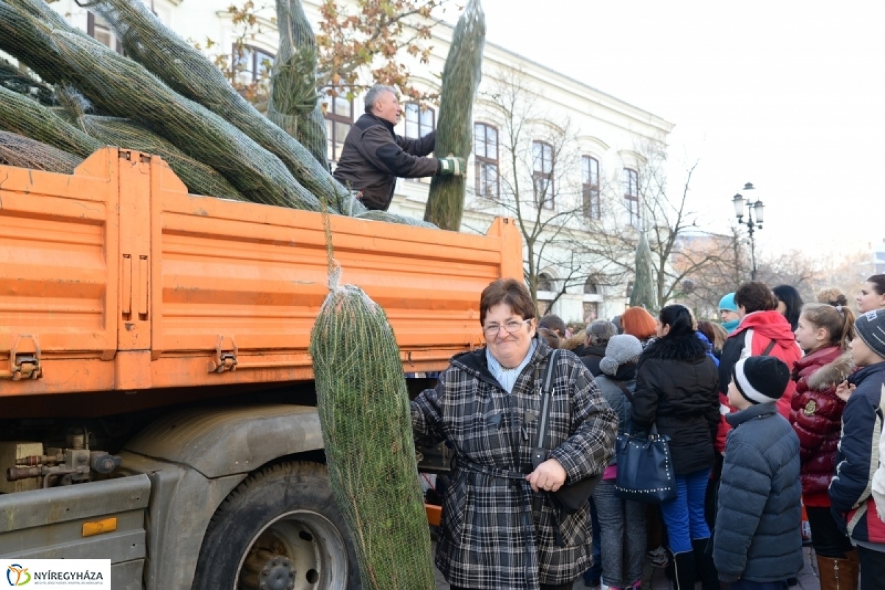 Fenyőfa a rászorulóknak