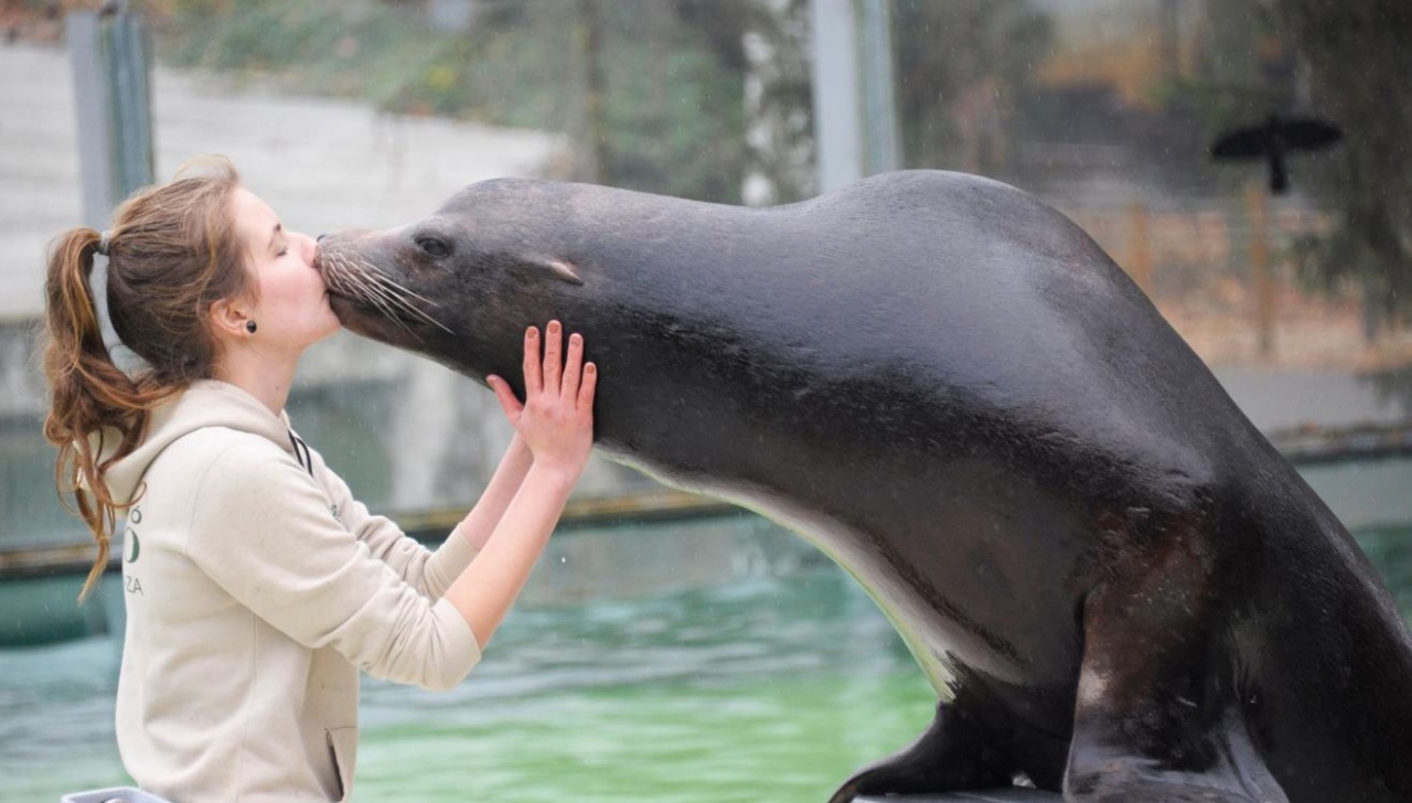 A gyakorlás télen sem állhat meg