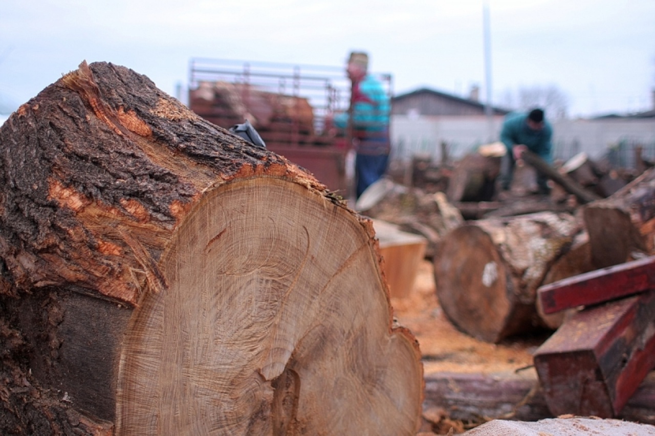 Folyamatosan igényelhető a tűzifa