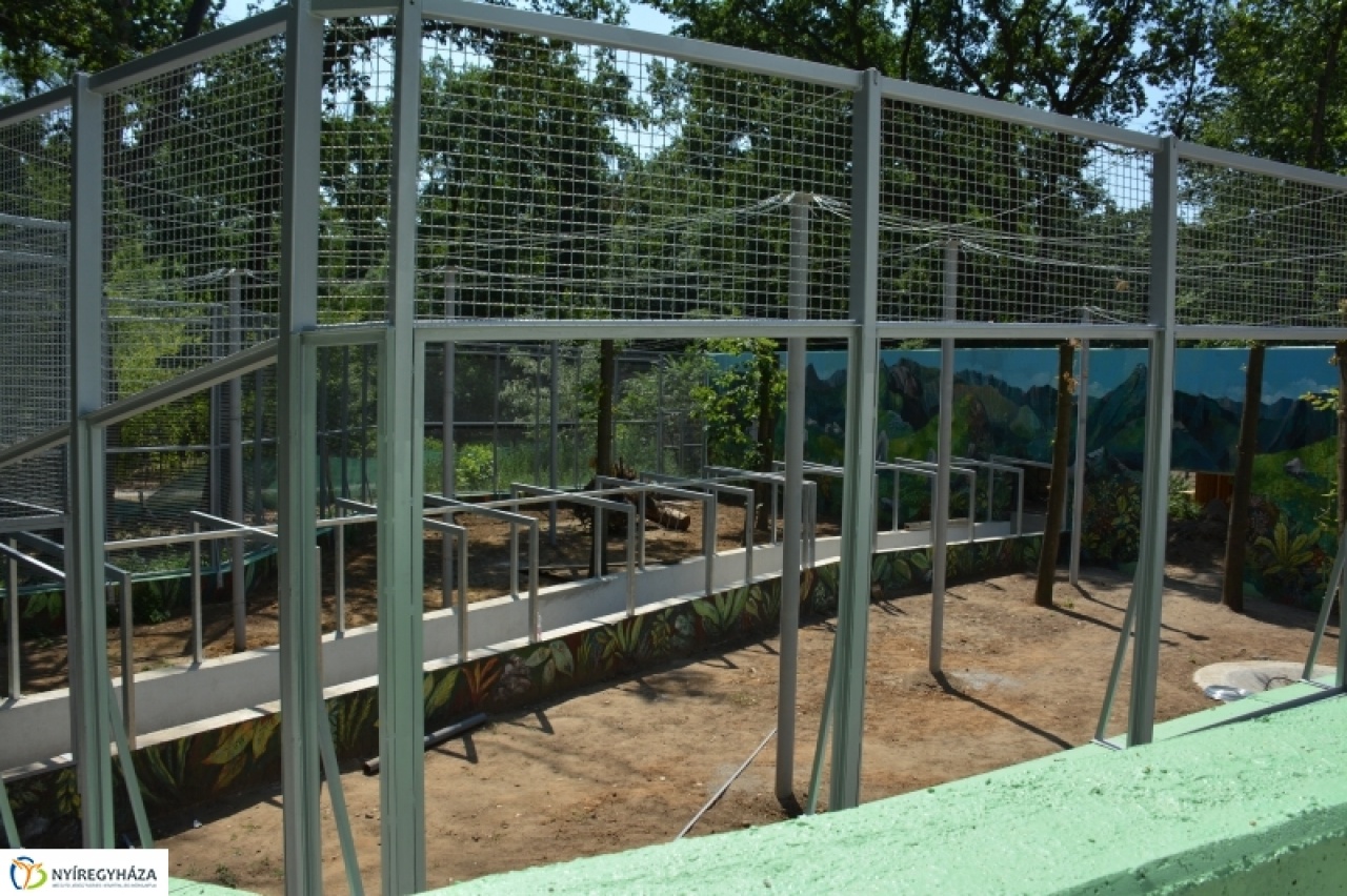 Márciusban nyitják meg a Nyíregyházi Állatpark új létesítményét