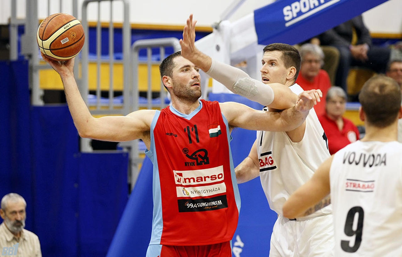 Nem bírták a hullámzást a cápák