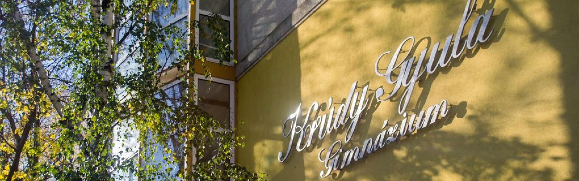 A nyíregyházi fiataloknak nem okozott gondot az angol