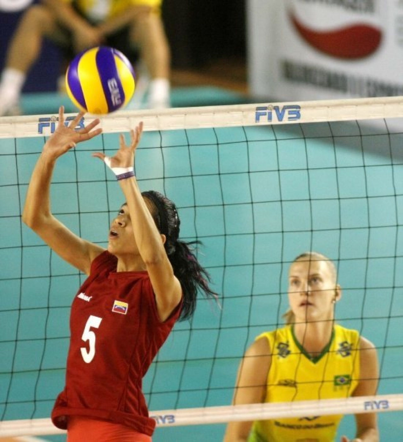 Válogatott játékost igazoltak a röplabdások