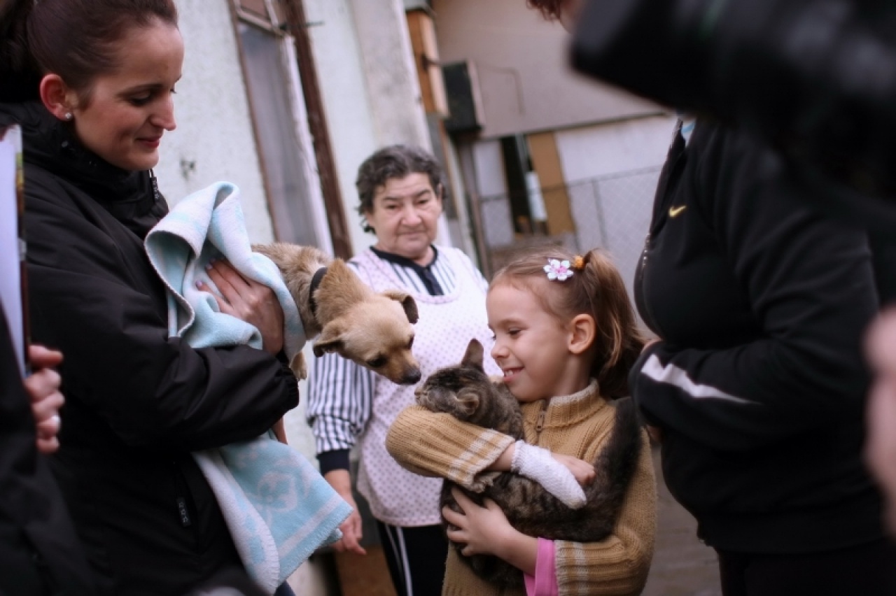 Örökbefogadó napot rendeztek a gyepmesteri telepen