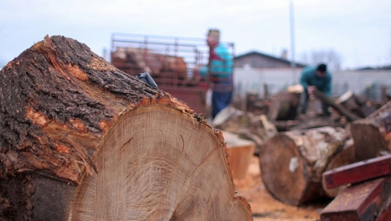 A tűzifa-kereskedelmet ellenőrzi a NAV