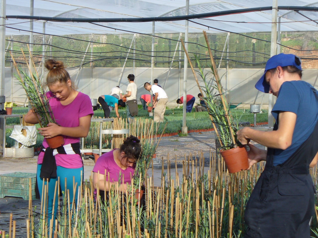Tanúsítványok sajátos nevelési igényű tanulóknak