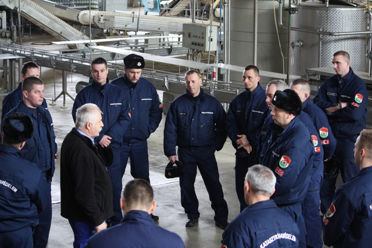 Gyakorlat a konzervgyárban