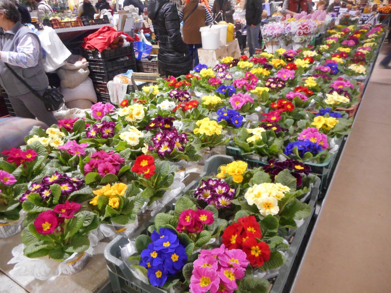 Virágba borult a piac