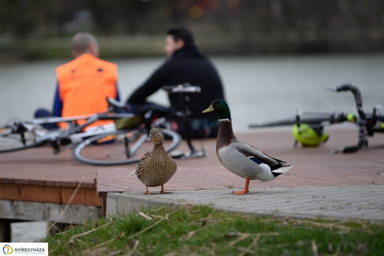Egy kellemes vasárnap délután a tó körül