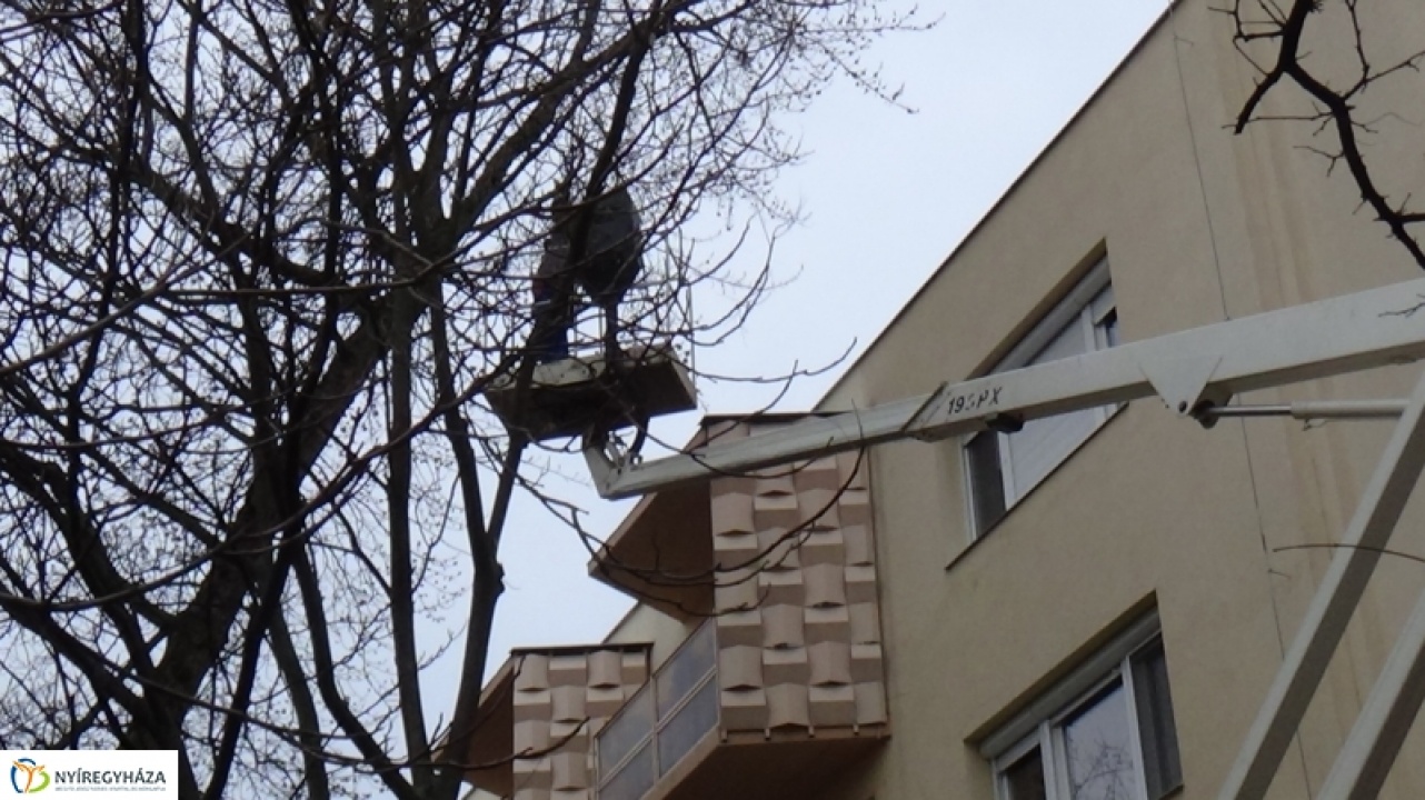 Favágás a Westsik utcán