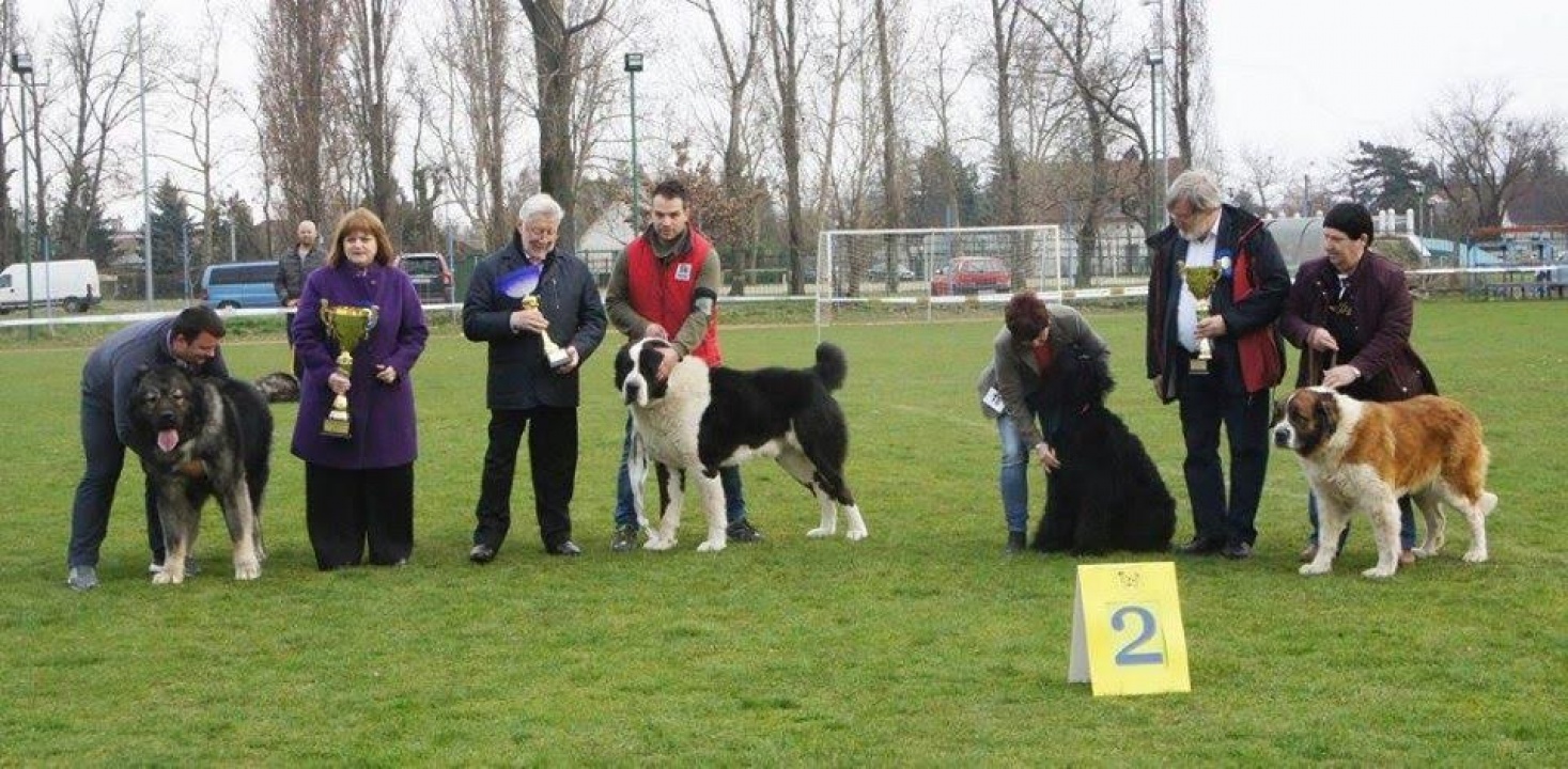 Tahmed és gazdája győztes típusok