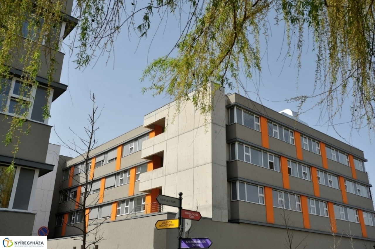 Különleges vetélkedő volt a kórházban