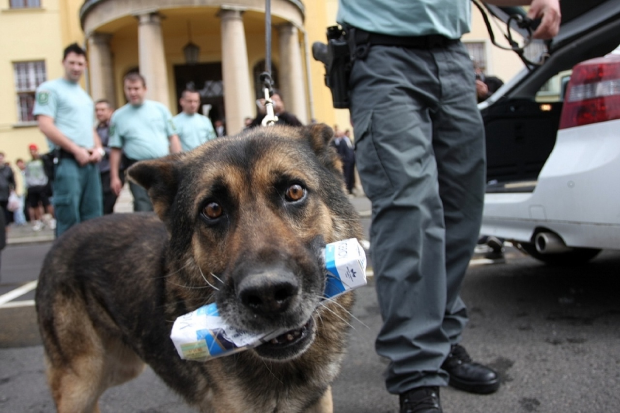 Rendvédelmi nap Nyíregyházán