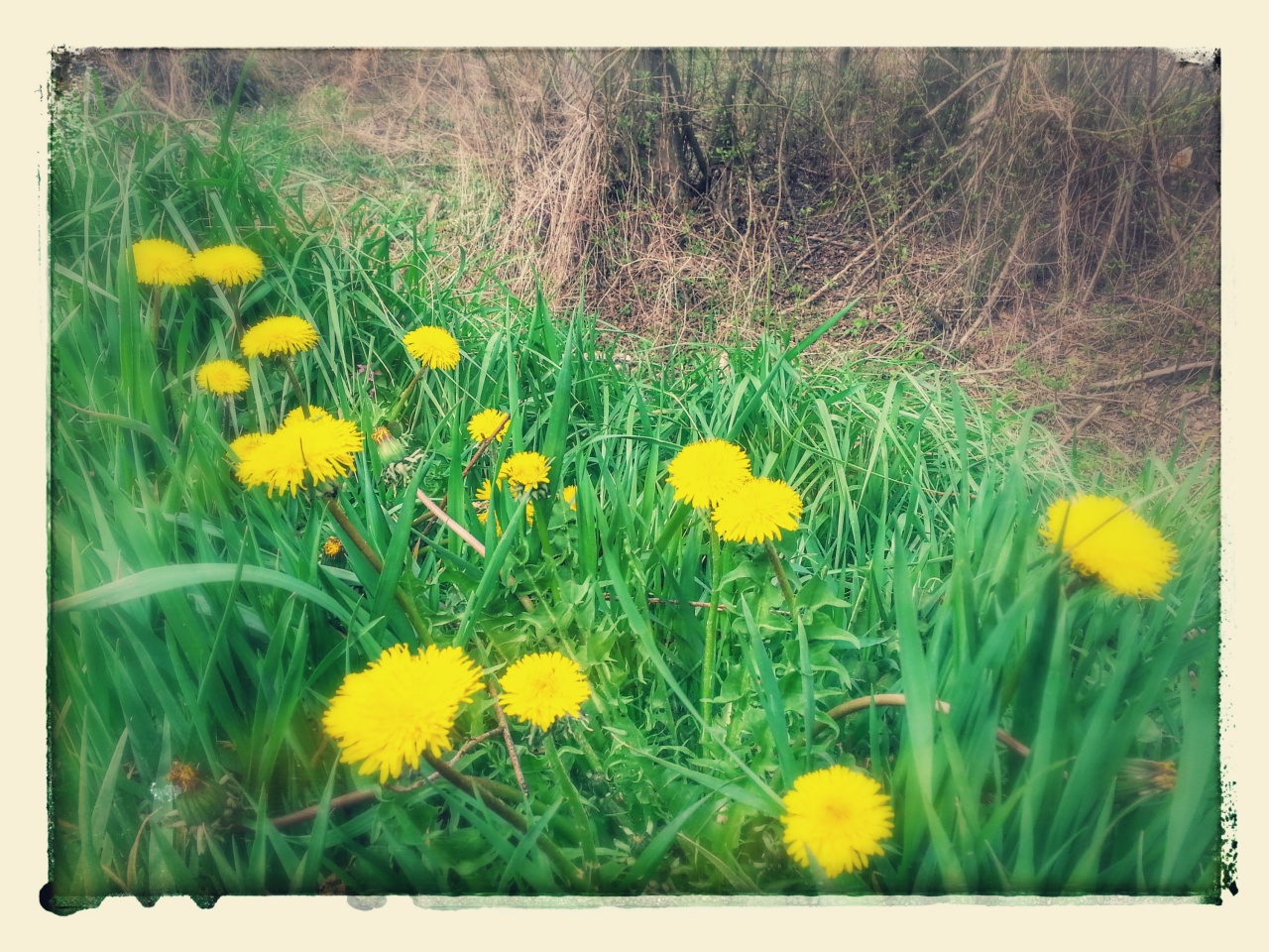 Jótanácsok a világ hülyesége ellen