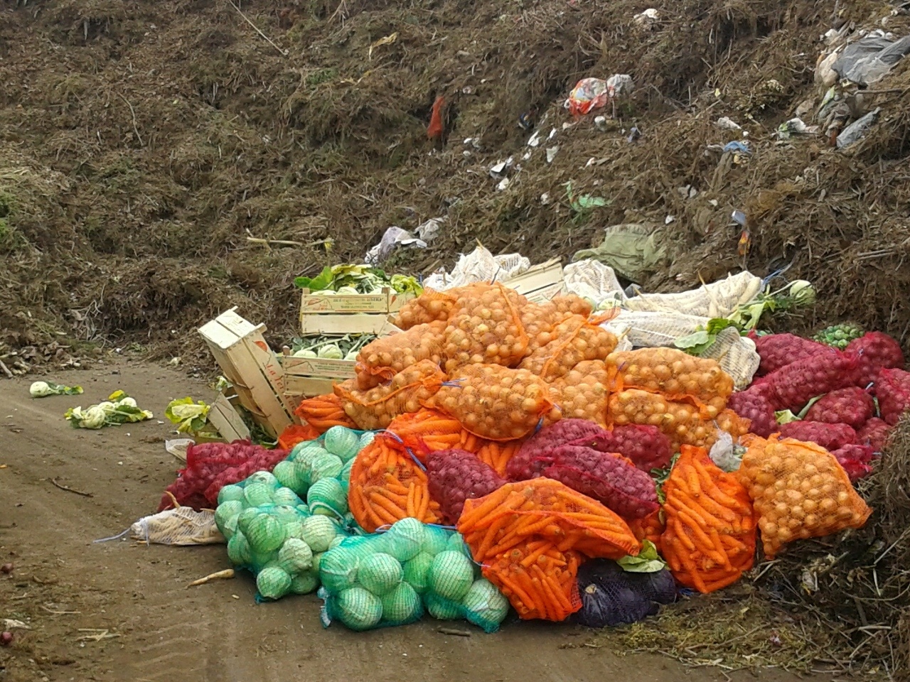 Ismeretlen eredetű zöldségeket tárt fel az EKÁER-ellenőrzés