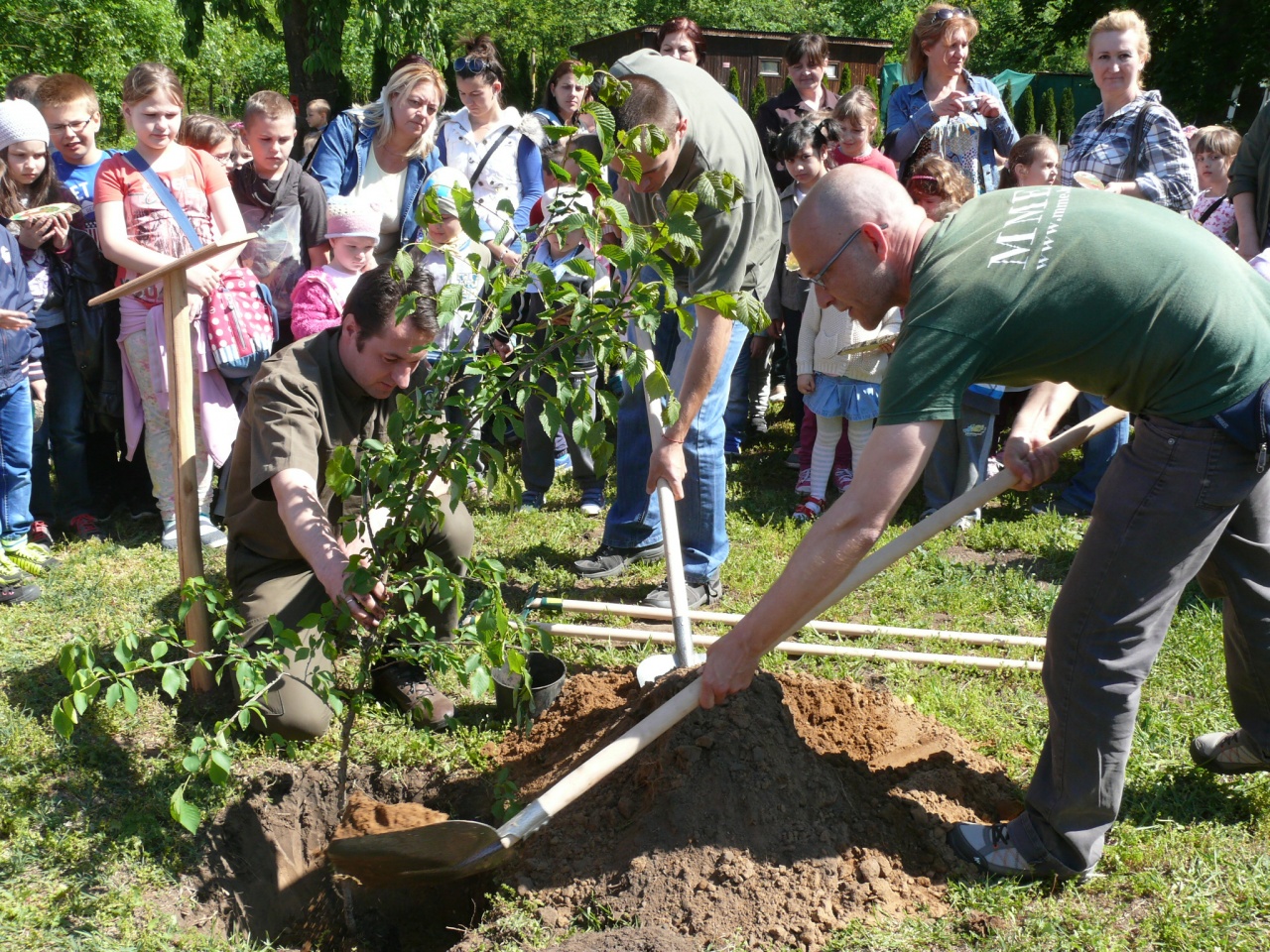 Madarak és Fák Napja – Programsorozat Nyíregyházán