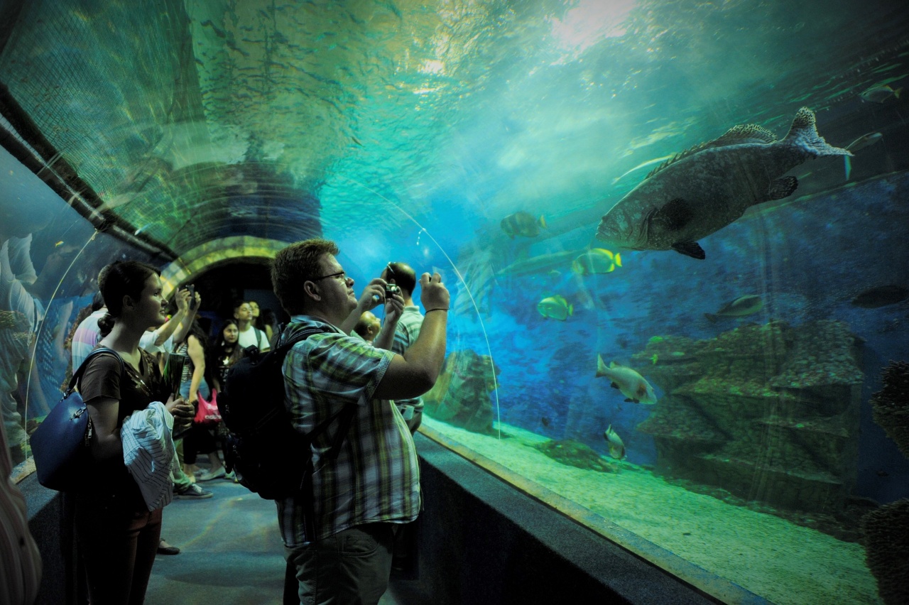 Temesvárról is várja a vendégeket Nyíregyháza