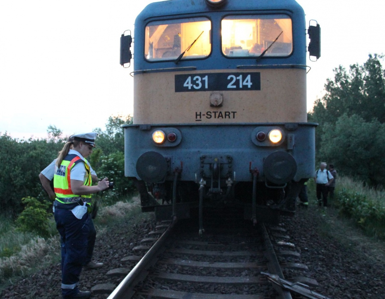 Juhnyájba hajtott egy vonat Nyíregyházán
