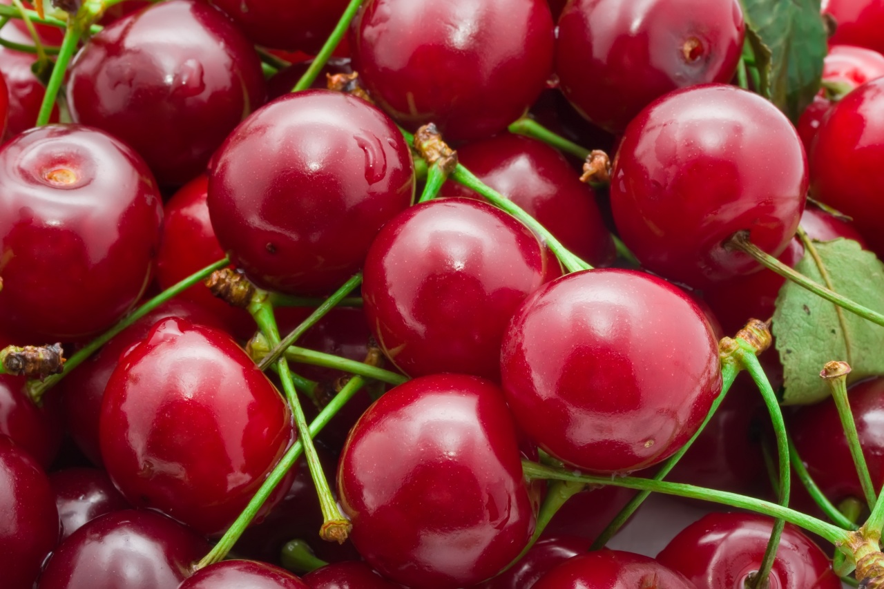 Megfagyott a meggytermés harmada