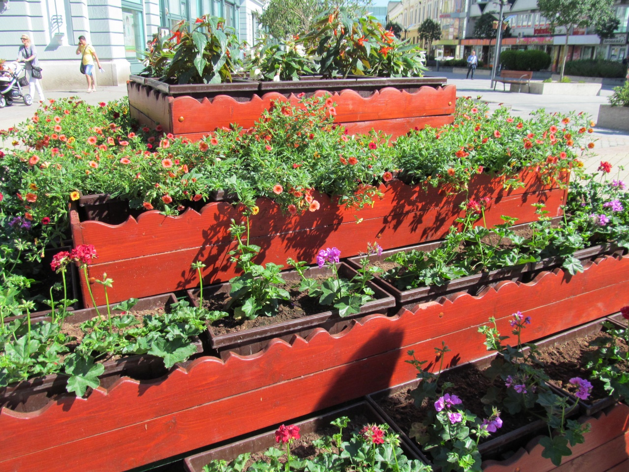 Virágpiramisok Nyíregyházán