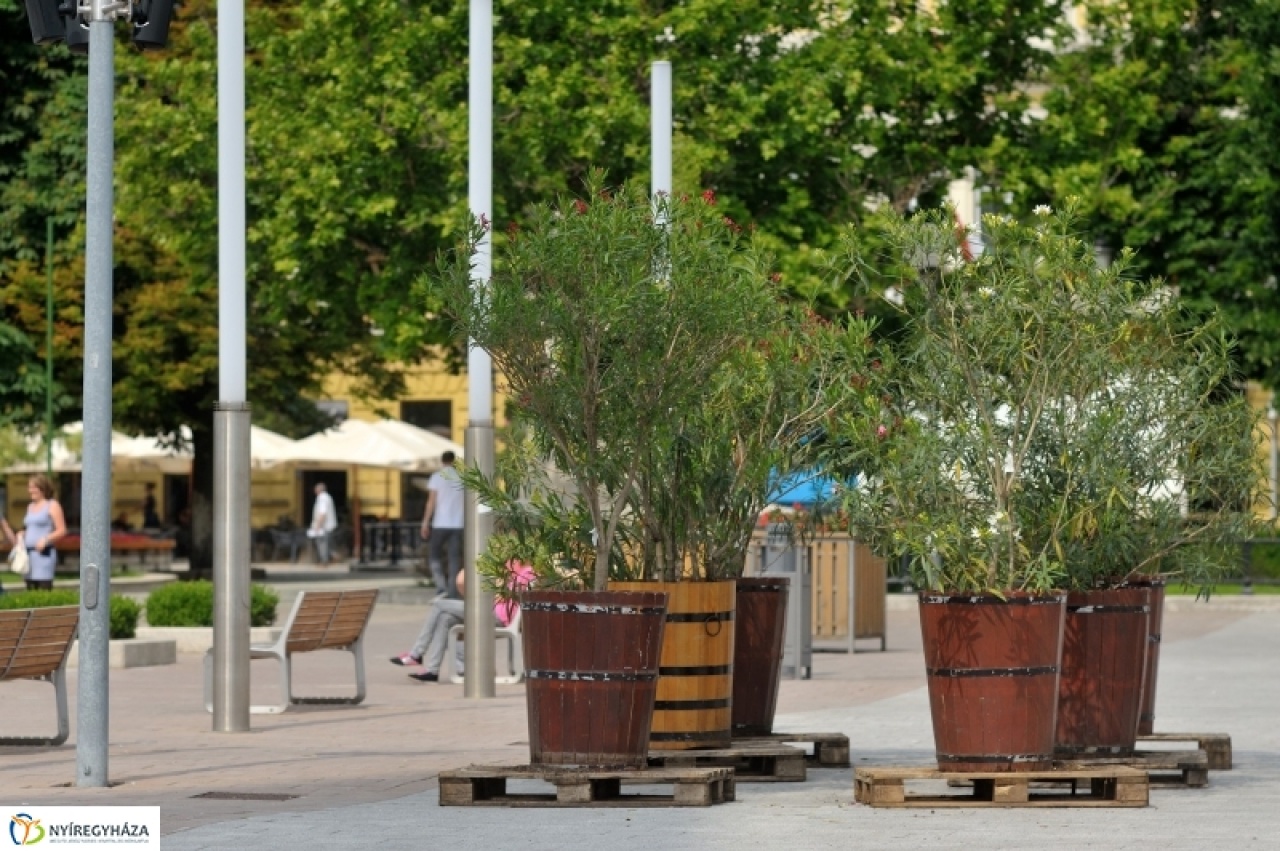 Leanderek ajándékba