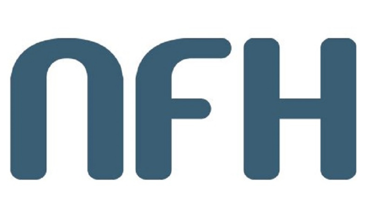 Veszélyes fa- és műanyag játékok