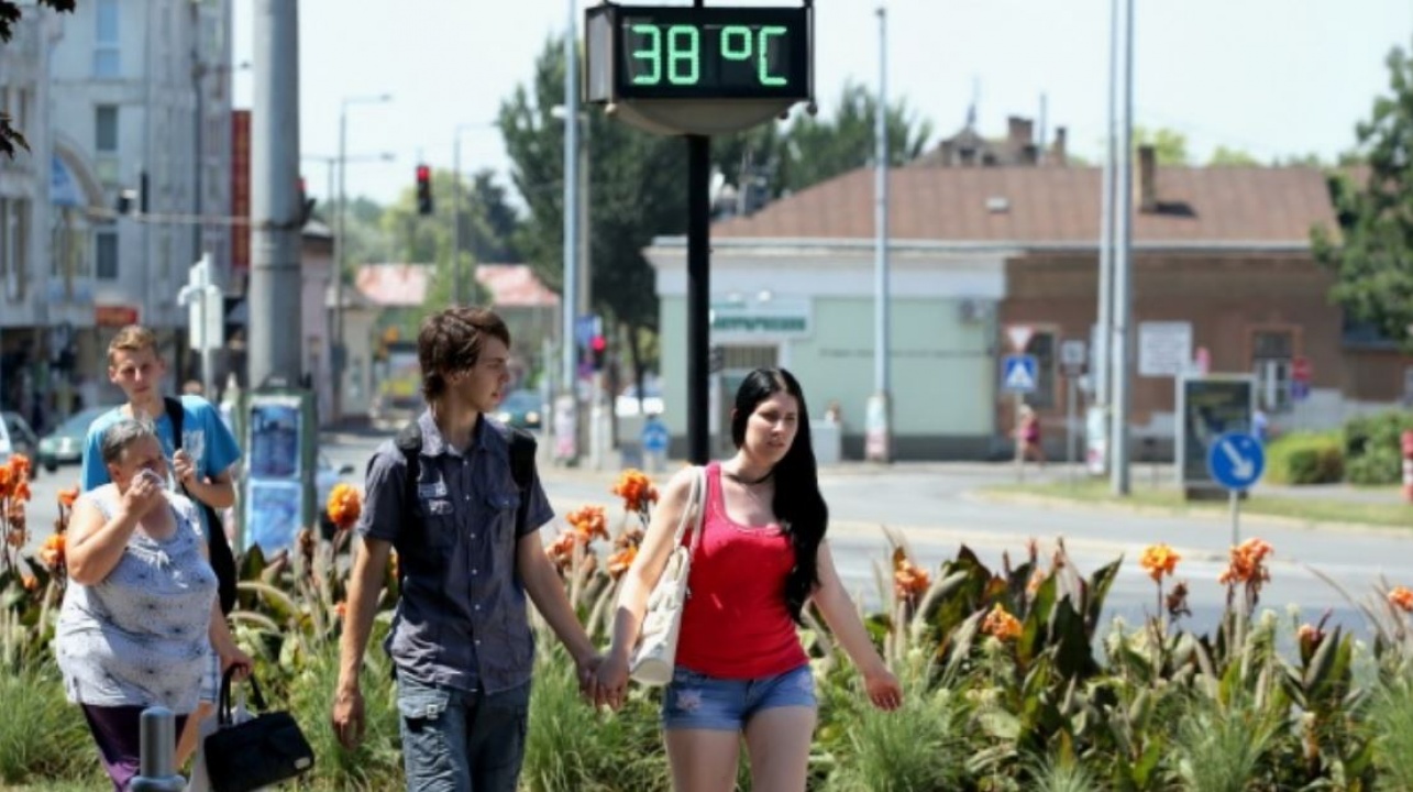 Tanácsok hőséghullám idejére