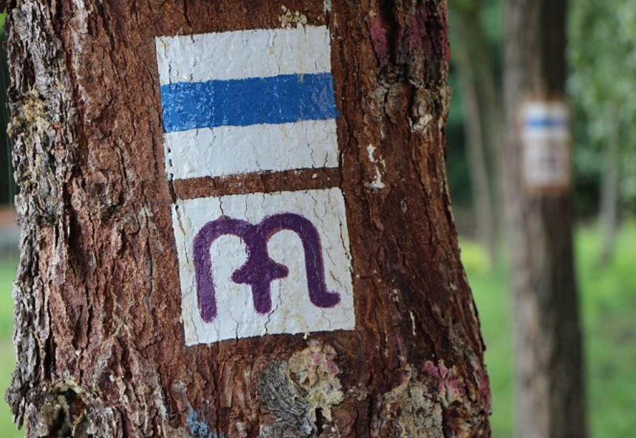 Tizenöt napja vannak úton