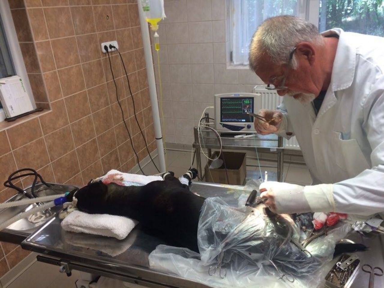 Túl a kritikus napokon