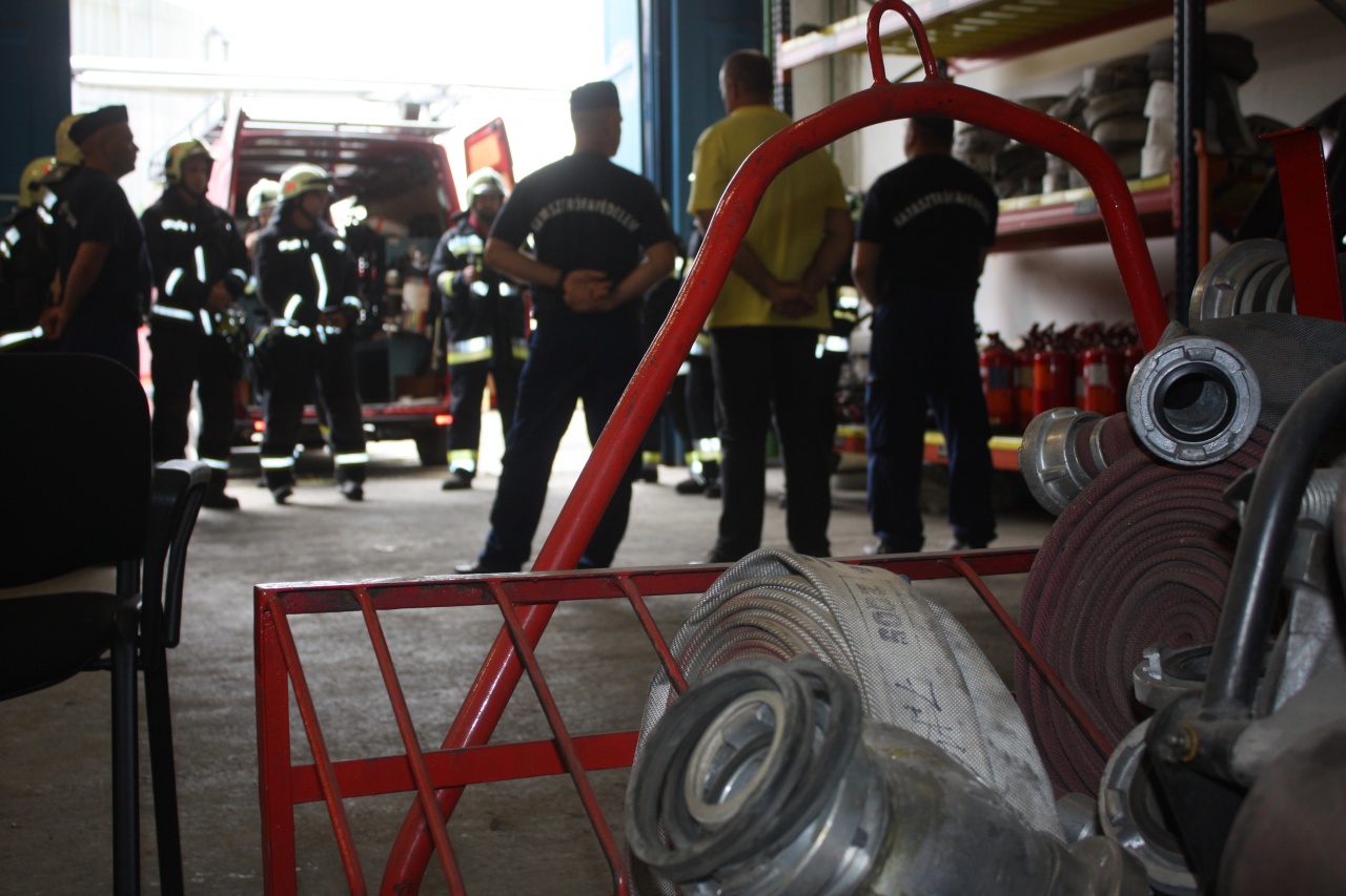 Ellenőrzés és közös gyakorlás