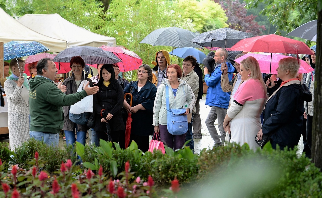 Helyi értékek a Nyíregyházi Állatparkban