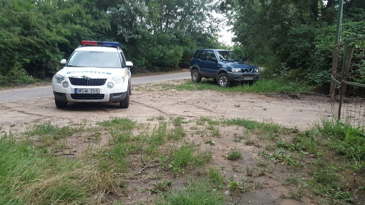 Ítélet elől bujkált az erdőben