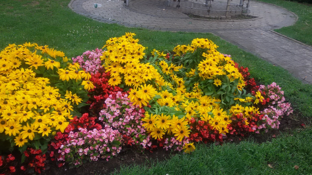 Aki a virágot nem szereti...